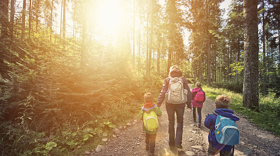 Walking in the Forest