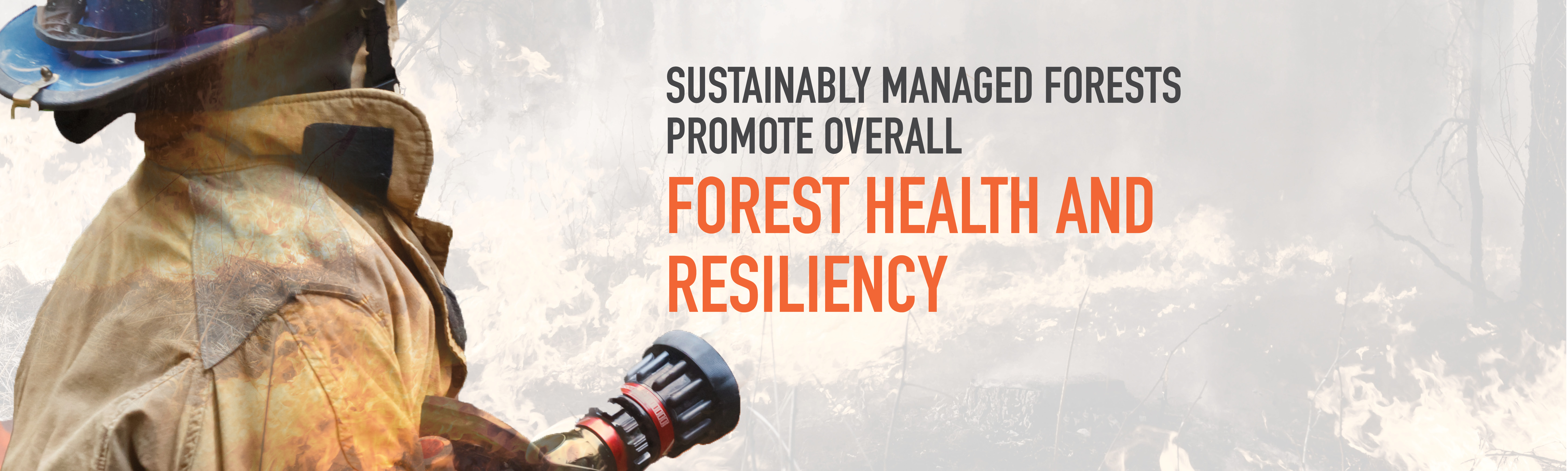 Website_Stat_ForestHealth