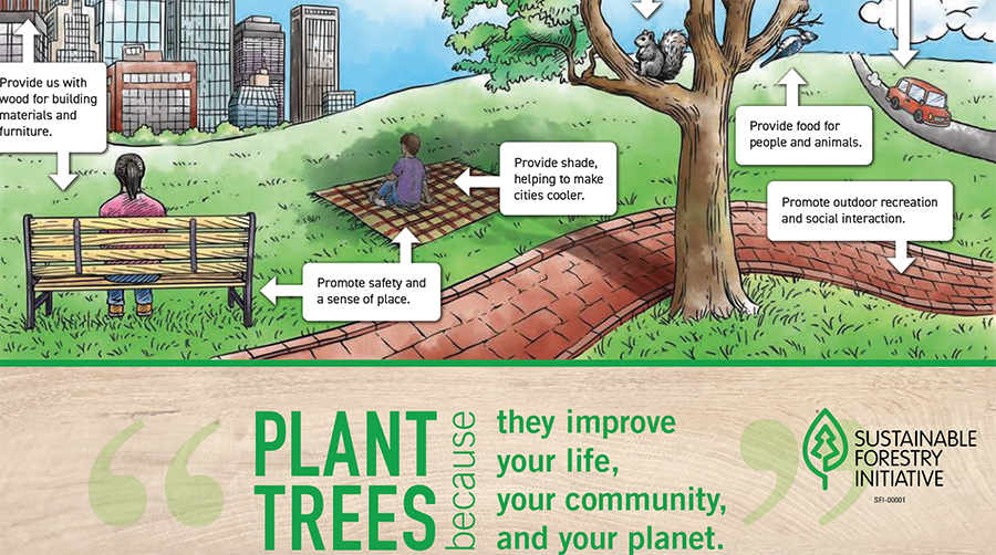 Why Plant a Tree?