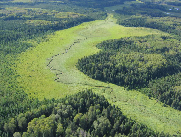 Boreal Wetland Complex (part of the project study area). Photo: Ducks Unlimited Canada